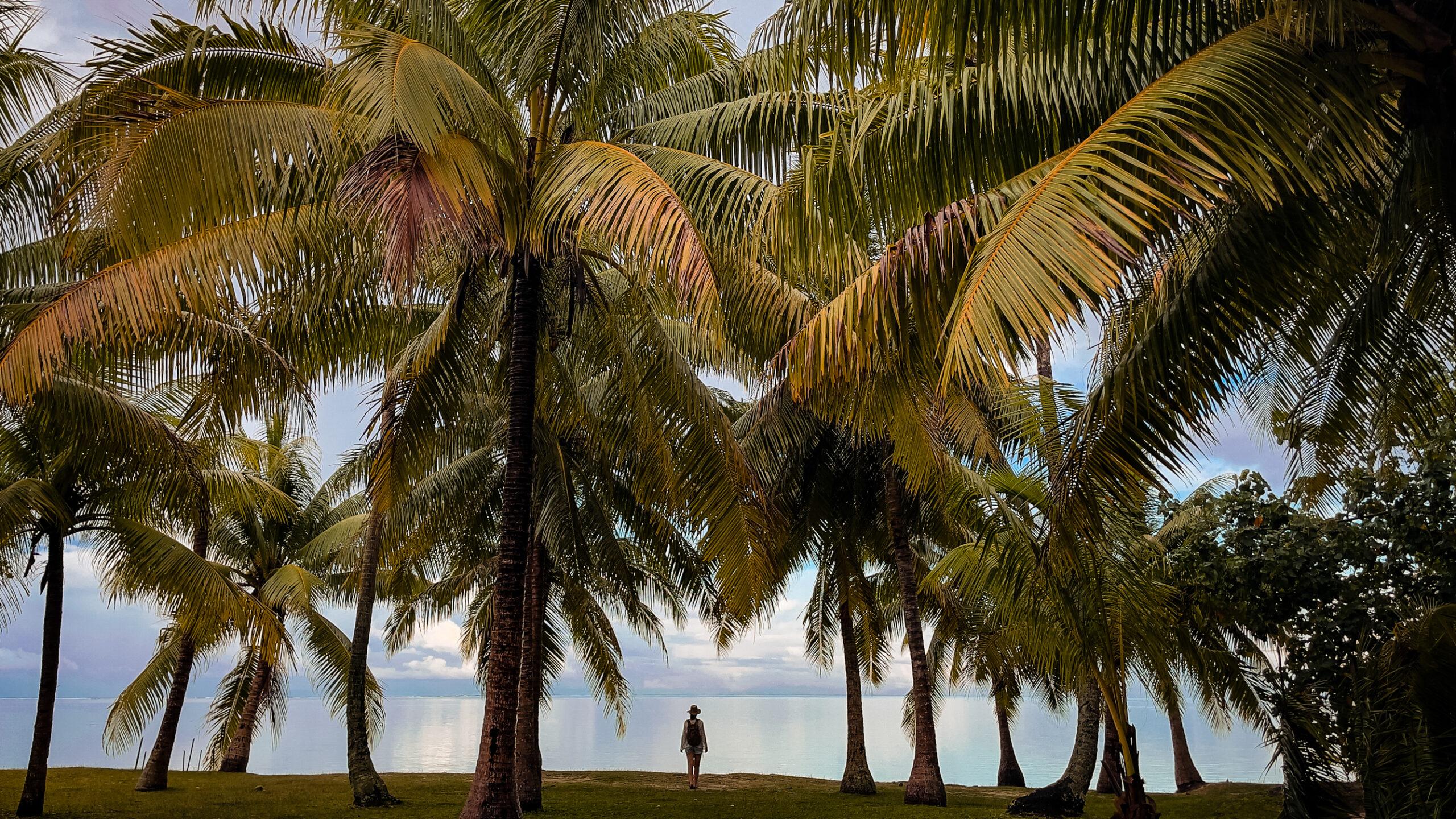Najpiekniejsze miejsca na Huahine Polinezja
