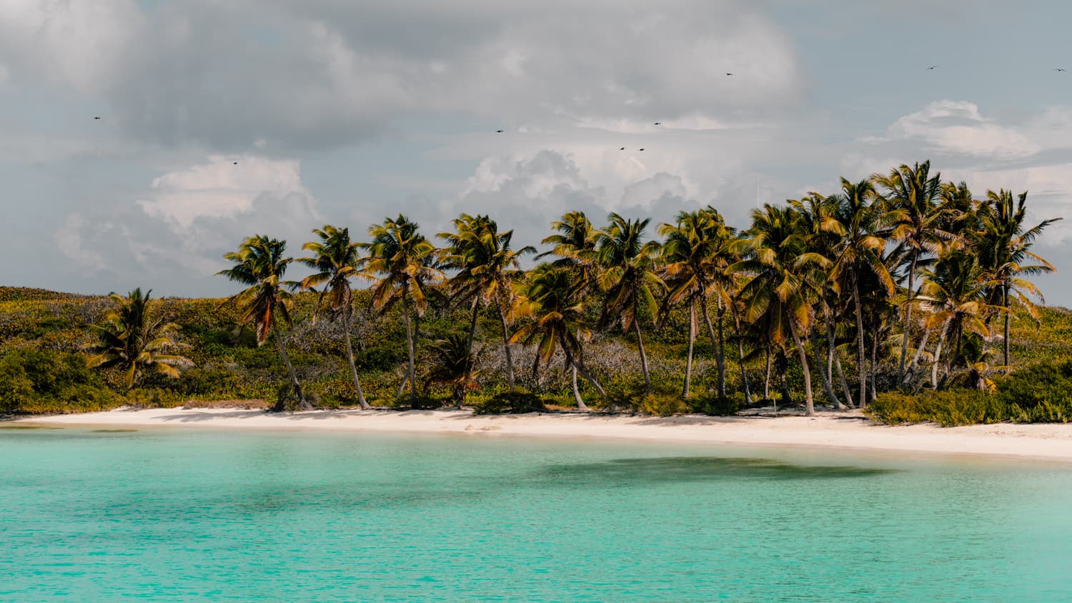 Wyspa Contoy jak dotrzec